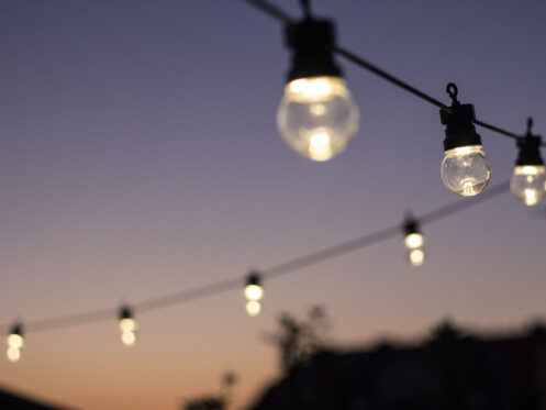 How Landscape Lighting Can Transform Your Florida Backyard